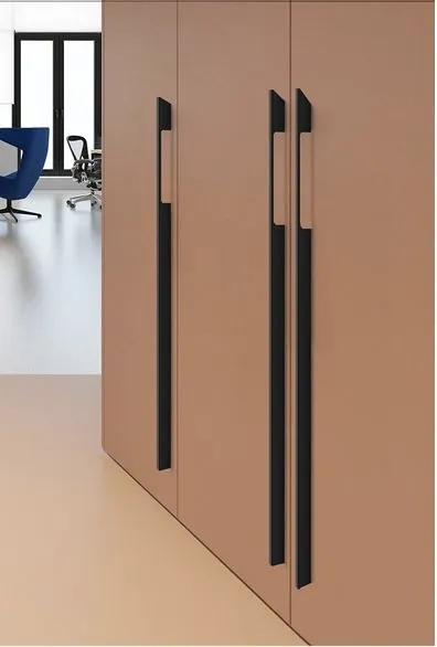 Conceptual long handles