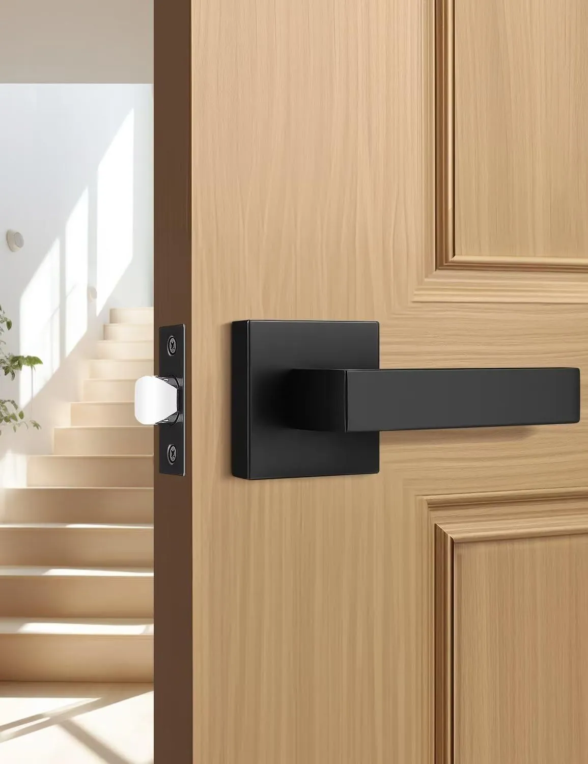 Door Handles